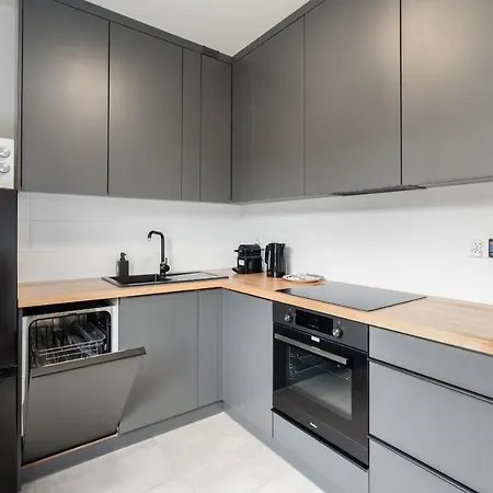 Apartman With Garden Dmowskiego 81 By Renters