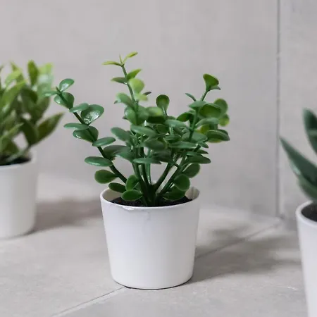 Apartman With Garden Dmowskiego 81 By Renters *