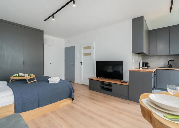 With Garden Dmowskiego 81 By Renters * פוזנן