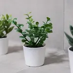 Apartmán With Garden Dmowskiego 81 By Renters *