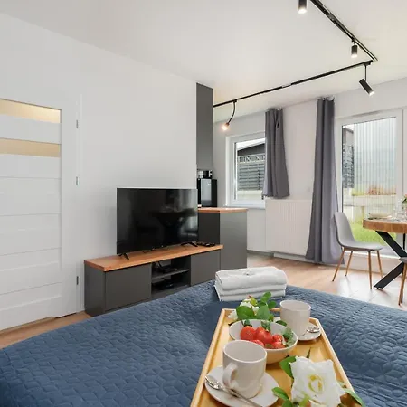 Апартаменты With Garden Dmowskiego 81 By Renters Познань