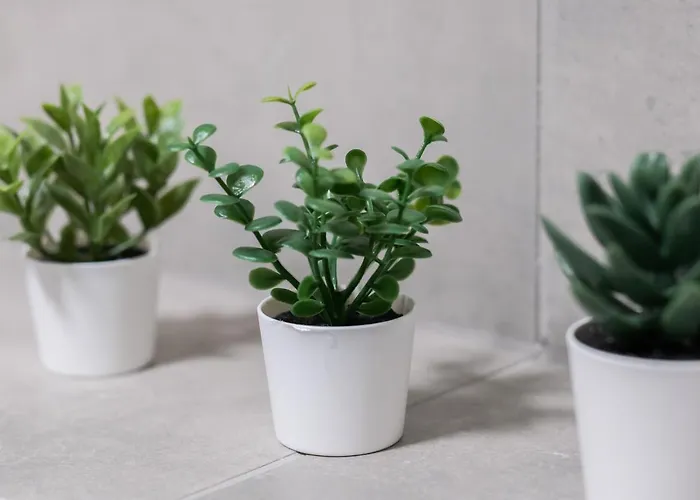 アパート With Garden Dmowskiego 81 By Renters *